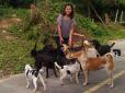 Неймовірна історія Туа Плу - найгалантнішого пса в світі (фото, відео)
