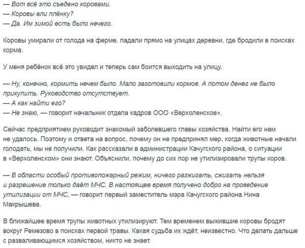  "Вєсті Іркутська", скріншот з вебсайту