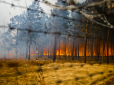 Забайкалля в диму: Пожежа знищила селище в Сибіру дотла