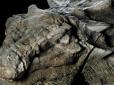 Він просто спить 110 000 000 літ: В Канадському музеї виставили унікальну мумію динозавра