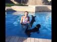Хвостаті друзяки: Лабрадор прокатив на спині у басейні свого малого приятеля  (відео)