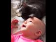 Киця та маля: Справжня дружба не знає меж (відео)