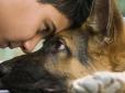 Вчені знайшли пояснення, чому собаки ставляться дружньо до людей
