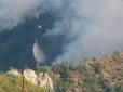 У Грузії третій день борються з лісовими пожежами, уряд попросив допомоги в ЄС (фото)