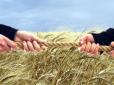 Сучасні феодали: Де, як і чому в Україні нелегально скуповують землю (відео)
