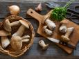 Заготовки із грибів: ТОП-3 неймовірних рецепти на зиму (фото)