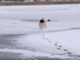 ​У Миколаєві хлопець, ризикуючи життям, пірнув в ополонку, щоб дістати з води потопаючу собаку (відео)