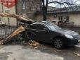 Падали дерева, зривало конструкції: Столицю України накрив потужний ураган (фото, відео)