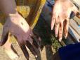 Екологічна НП в Одесі: На берег викинуло велику кількість нафтопродуктів (фото, відео)