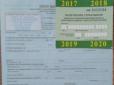 Автомобілісту на замітку: Затвердили новий стандарт автоцивілки