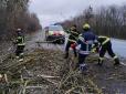 Страшні наслідки негоди в Херсоні: На хлопчика впало дерево (фото)