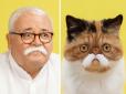 Фотограф зробив кумедну серію знімків, в якій наочно показав схожість котів та їх господарів
