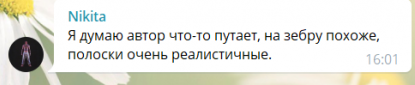 Думки користувачів мережі розділилися