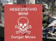 Під час розмінування російських касетних боєприпасів під Харковом загинули сапери