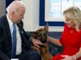 Вівчарка подружжя Байденів вкусила сімох співробітників Білого дому. Секретна служба незаконно приховує документи про жорстоке поводження з її агентами, - ЗМІ