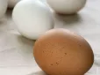 А ви це знали? У чому різниця між коричневими та білими яйцями