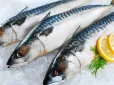 Почалася криза: Скумбрія може зникнути з прилавків магазинів - у чому причина
