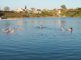 Цілющі водойми України: Що і де лікують