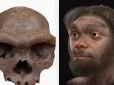 Археологи не могли співвіднести до жодного відомого виду Homo: Вчені нарешті розгадали таємницю 