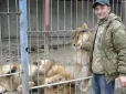 Не мав ані дозволу, ані умов: У Хмельницькому арештовано власника левиць, які втекли з вольєру (фото)