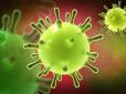 Нова загроза? У Європі виявили смертельно небезпечний вірус MERS