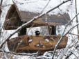Народні прикмети на 26 лютого. Обов'язково приберіться вдома