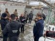 Били, тримали на ланцюгу та часто годували лише хлібом і водою: У Дніпрі вихователів підозрюють у катуванні дітей