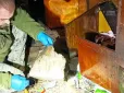 Навмисне вбивство? На Миколаївщині військовий надіслав дружині посилку з вибухівкою, жінка загинула, двоє дітей поранені