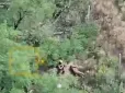 На Донеччині російські окупанти стратили двох полонених українських бійців